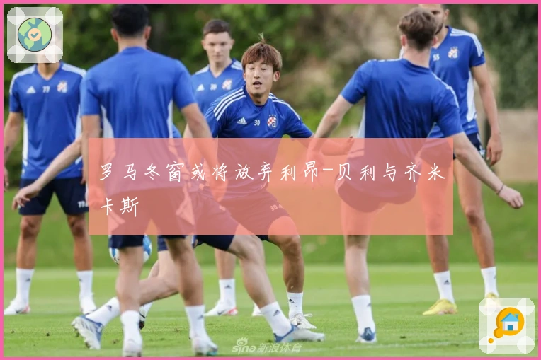 罗马冬窗或将放弃利昂-贝利与齐米卡斯