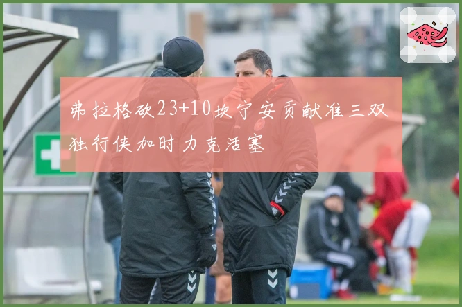 弗拉格砍23+10坎宁安贡献准三双 独行侠加时力克活塞